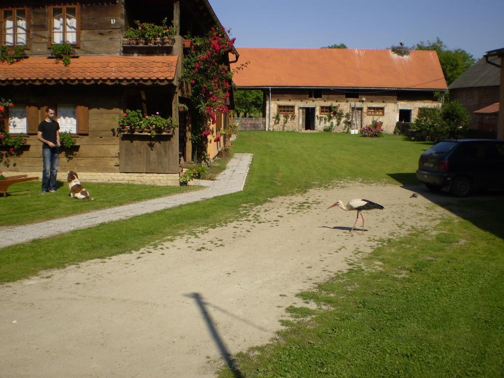 Apartments Iza Na Trem Čigoč Buitenkant foto