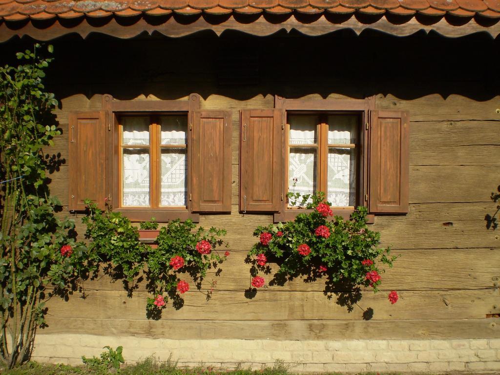 Apartments Iza Na Trem Čigoč Buitenkant foto