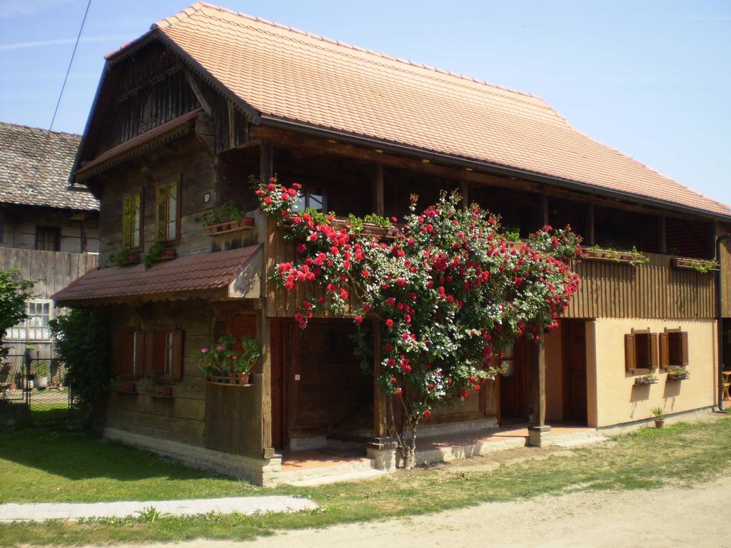 Apartments Iza Na Trem Čigoč Buitenkant foto